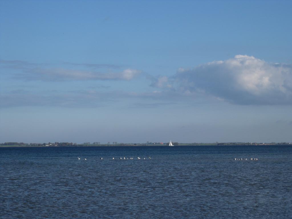 Meeresblick Zierow